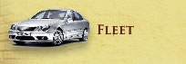 Fleet : Pompeii Tours