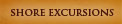 Shore Excursions : Pompeii Tour 