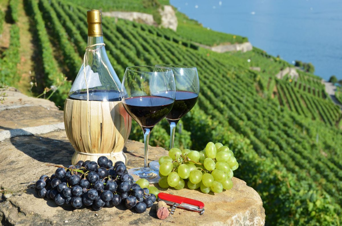 5 Places in Italy That Every Wine Lover Must Visit