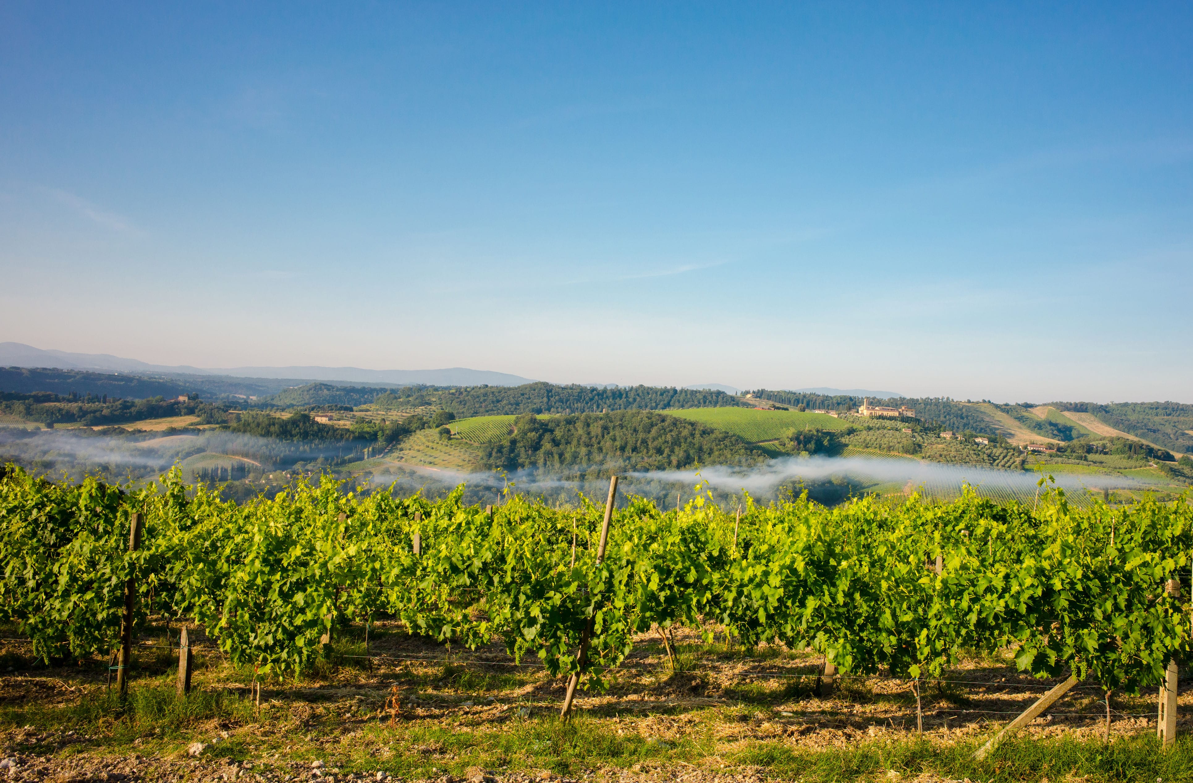 San Gimignano Italian wine regions