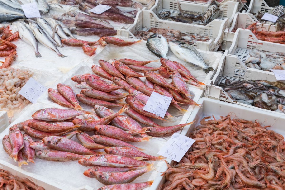 Meal in Venice BenvenutoLimos