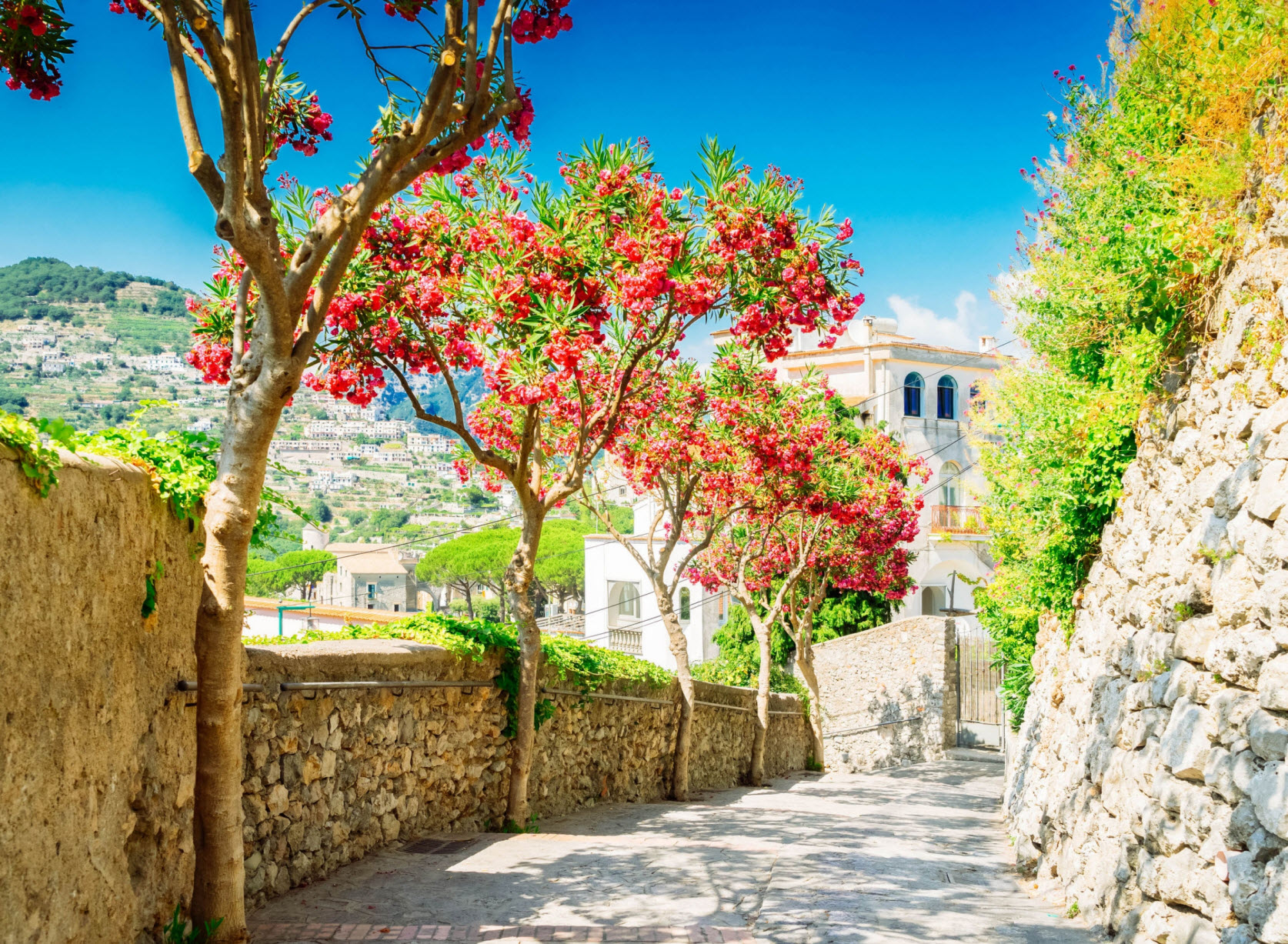 Take Delight In The Undisputed Beauty Of Amalfi