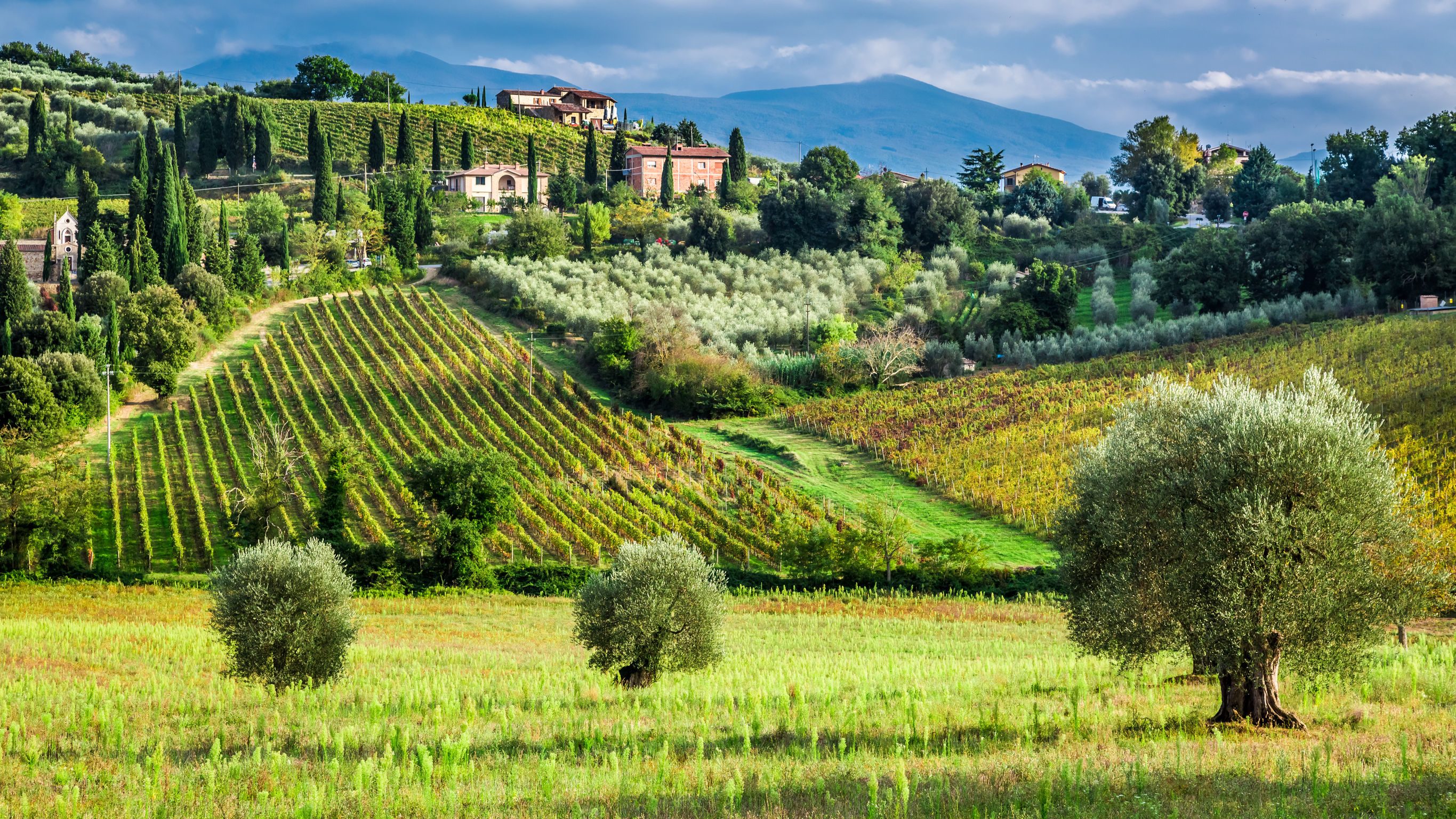 Tuscany landscape