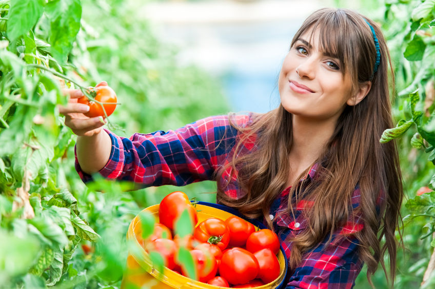 Margherita is the tomatoes