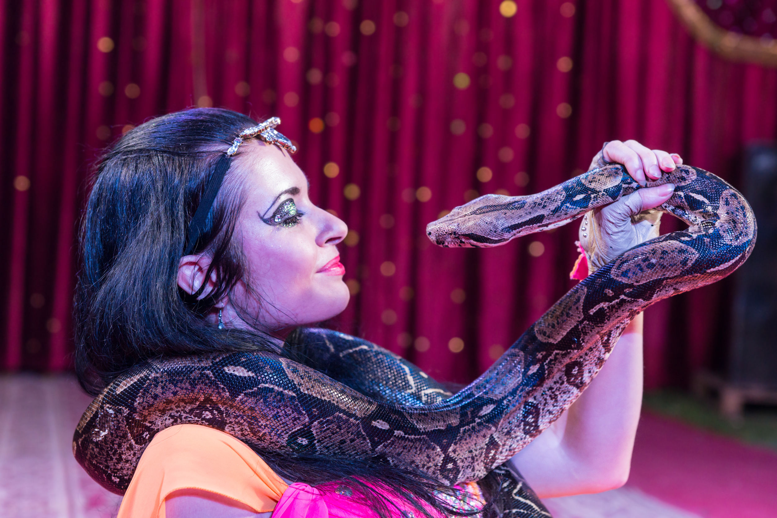 Женщина змея видео. Змеи в цирке. Цирк со змеями. Питон в цирке. Танцовщица со змеей.