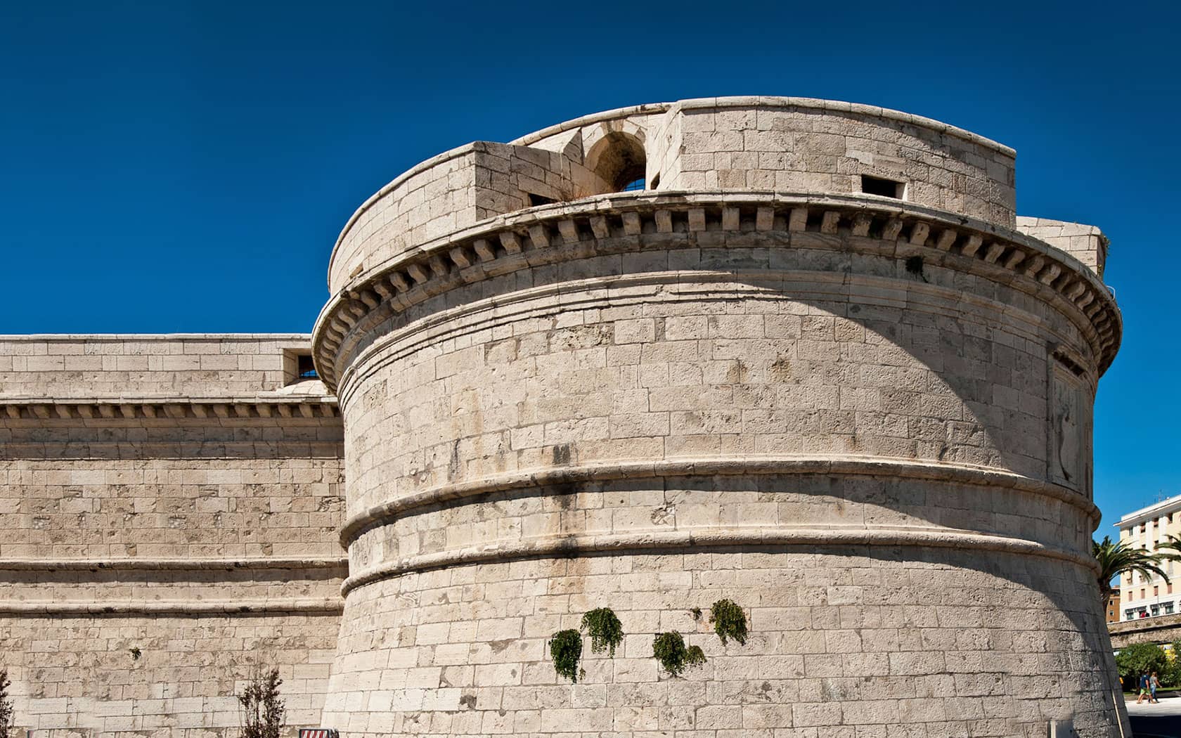 Tours Starting From Civitavecchia