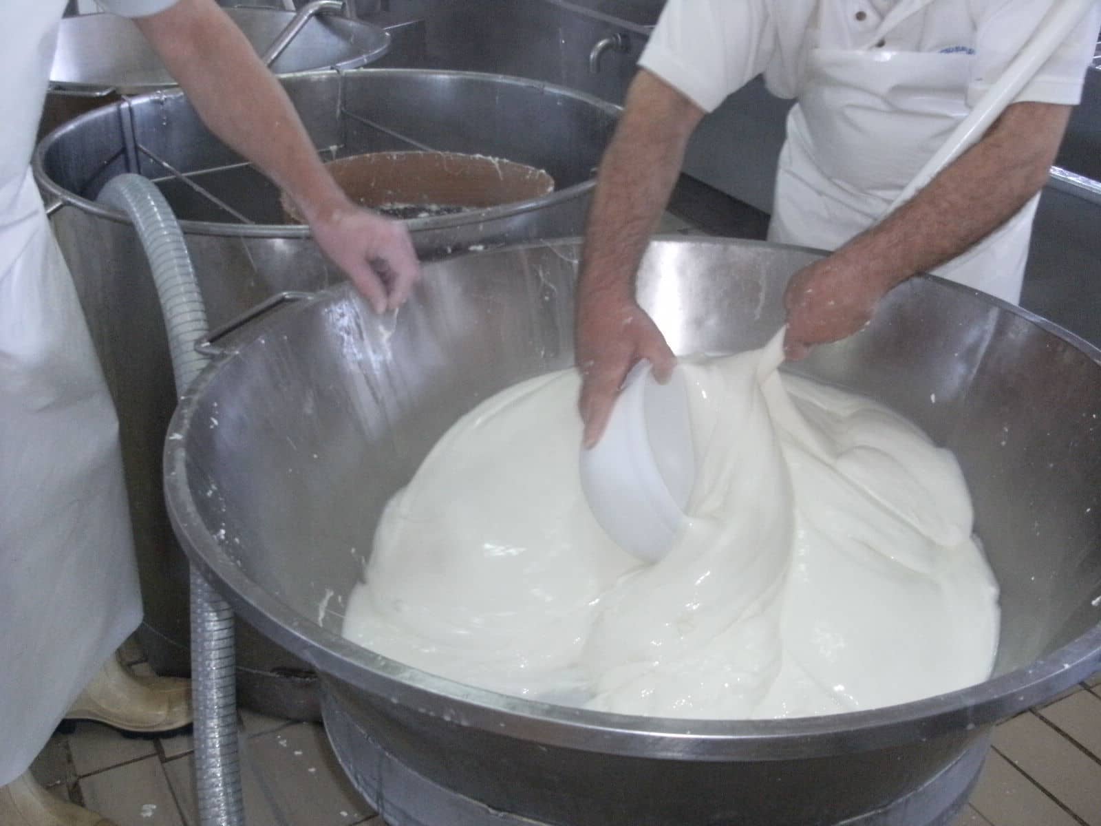 Buffalo Mozzarella Factory