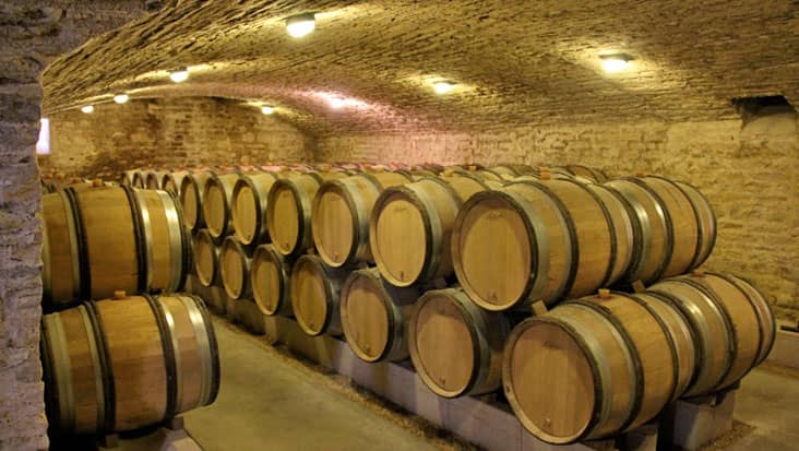 Feudi di San Gregorio wine cellar