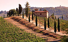 images/tours/cities/tuscany-landscape2.jpg