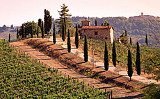 Chianti coutryside