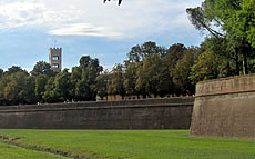 The walls of Lucca