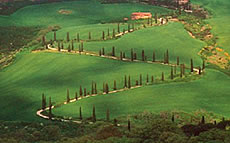 Tuscany Countryside